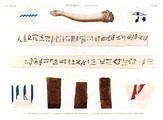 A Vol. II — Thèbes. Hypogées — Pl. 48 - 1.3.5.9. Fragmens coloriés 2.4. Bras et bandelette de momie 6.7.8. Briques portant des hiéroglyphes imprimés