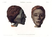 A Vol. II — Thèbes. Hypogées — Pl. 50 - Profil et face d'une tête de momie de femme