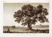 EM Vol. I — Le Kaire — Pl. 44 - Vue du jardin et de l'étang de Qasim Bey.