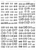 em Vol. II — Inscriptions, monnoies et médailles — Pl. i - Médailles koufiques, arabes et persanes